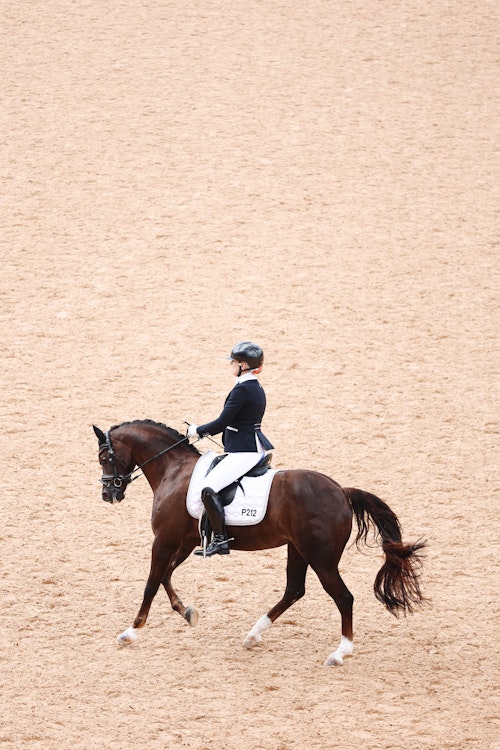 Image for 4CYTE™ Dressage by the Sea CDI 2024