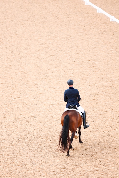 Image for 4CYTE™ Dressage by the Sea CDI 2024
