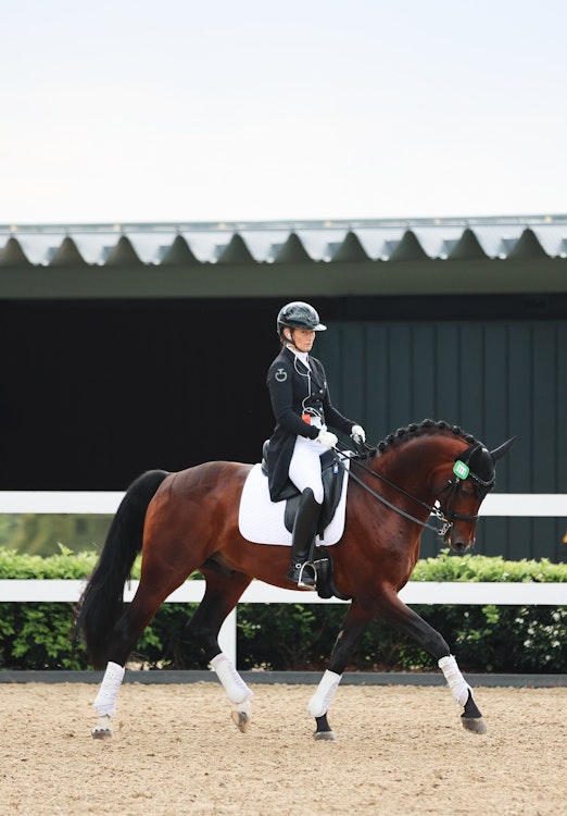 Image for 4CYTE™ Dressage by the Sea CDI 2024