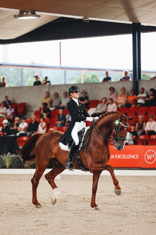 Image for 4CYTE™ Dressage by the Sea CDI 2024