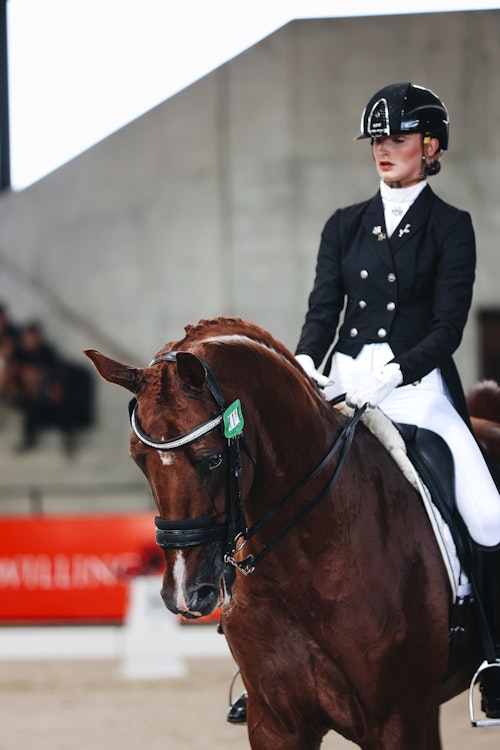 Image for 4CYTE™ Dressage by the Sea CDI 2024
