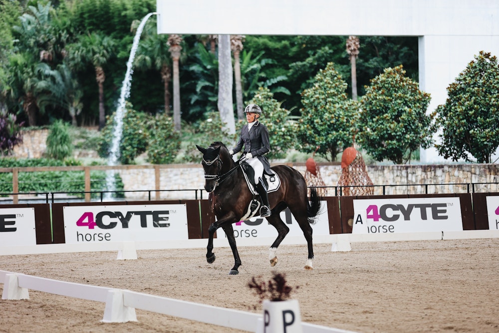 Image for 4CYTE™ Dressage by the Sea CDI 2024