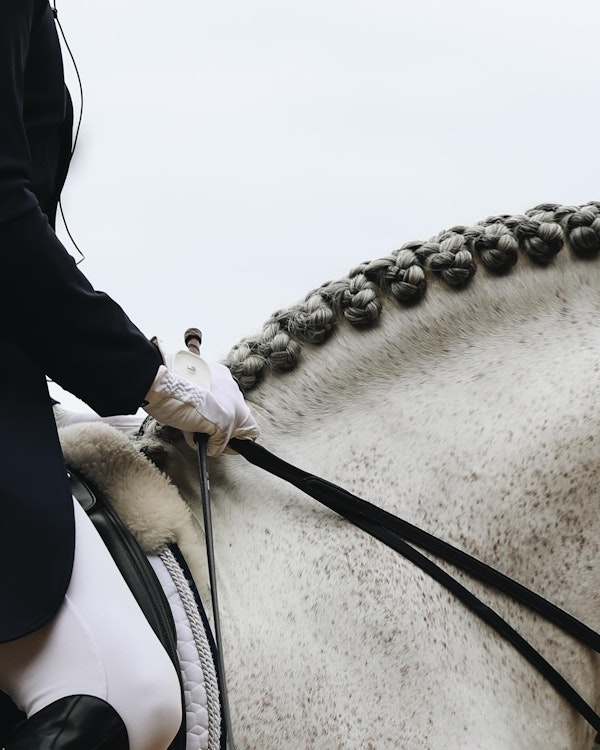 Image for 4CYTE™ Dressage by the Sea CDI 2024