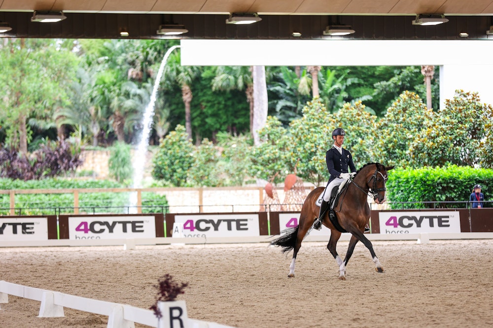 Image for 4CYTE™ Dressage by the Sea CDI 2024
