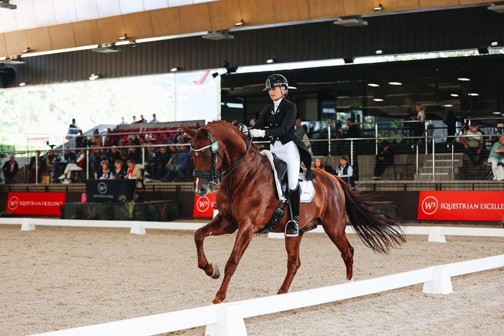 Image for 4CYTE™ Dressage by the Sea CDI 2024