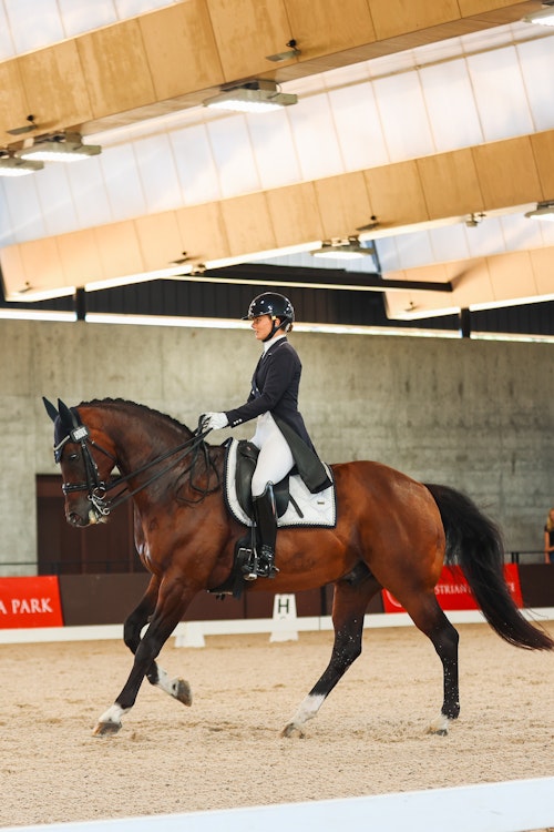 Image for 4CYTE™ Dressage by the Sea CDI 2024