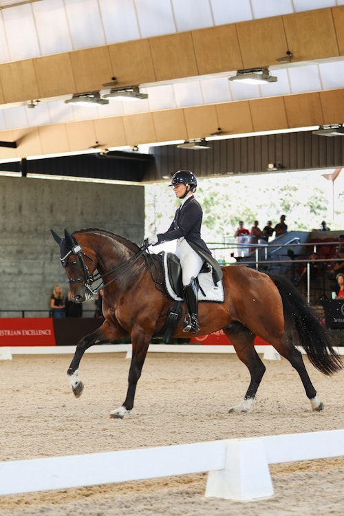 Image for 4CYTE™ Dressage by the Sea CDI 2024