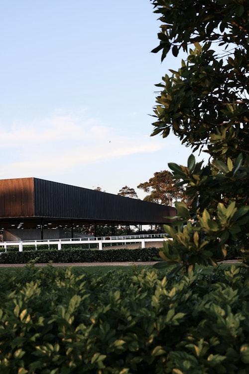 Image for 4CYTE™ Dressage by the Sea CDI 2024