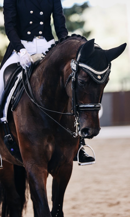 Image for 4CYTE™ Dressage by the Sea CDI 2024