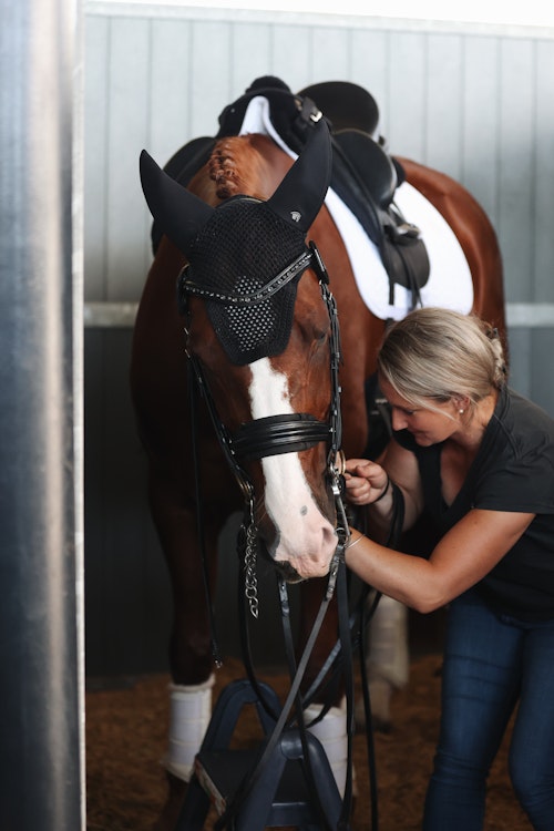 Image for 4CYTE™ Dressage by the Sea CDI 2024