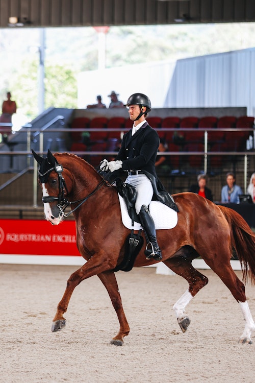 Image for 4CYTE™ Dressage by the Sea CDI 2024