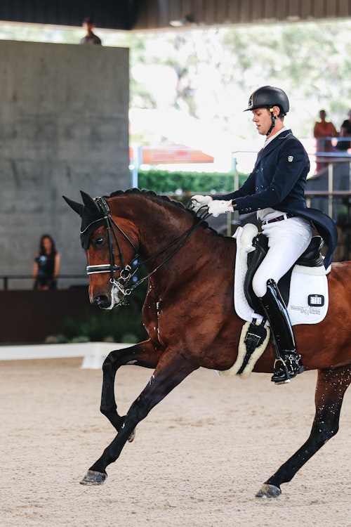 Image for 4CYTE™ Dressage by the Sea CDI 2024