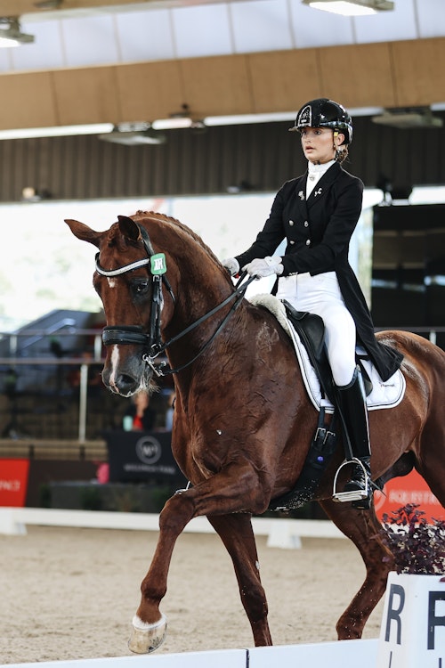 Image for 4CYTE™ Dressage by the Sea CDI 2024