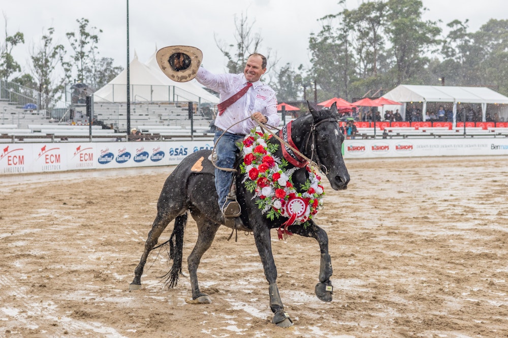 Image for Matt Holtz: Ringers Western Gold Buckle Campdraft Champion 2024
