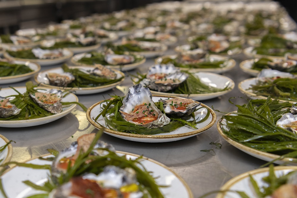 Image for Clyde River Oysters, accompanied by fermented tomato and chicken skin