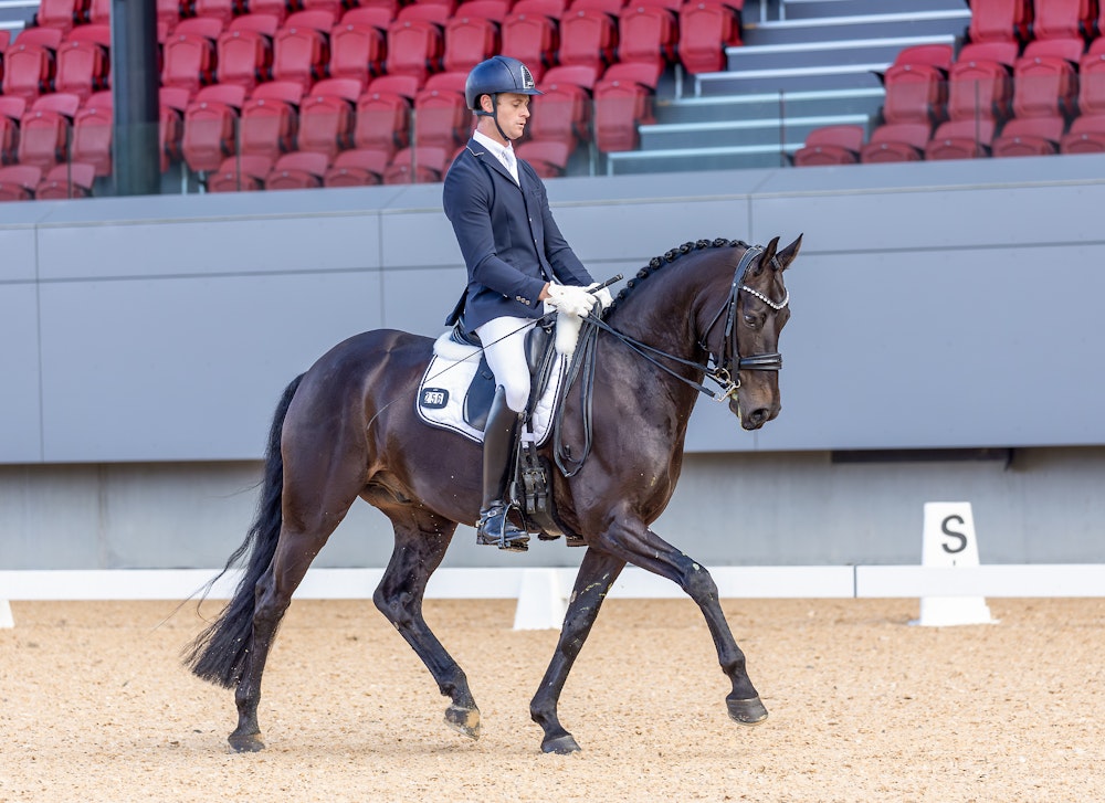 Image for Official Medium 4.2 | David Mckinnon & FURST PIK with a score of 70.743%