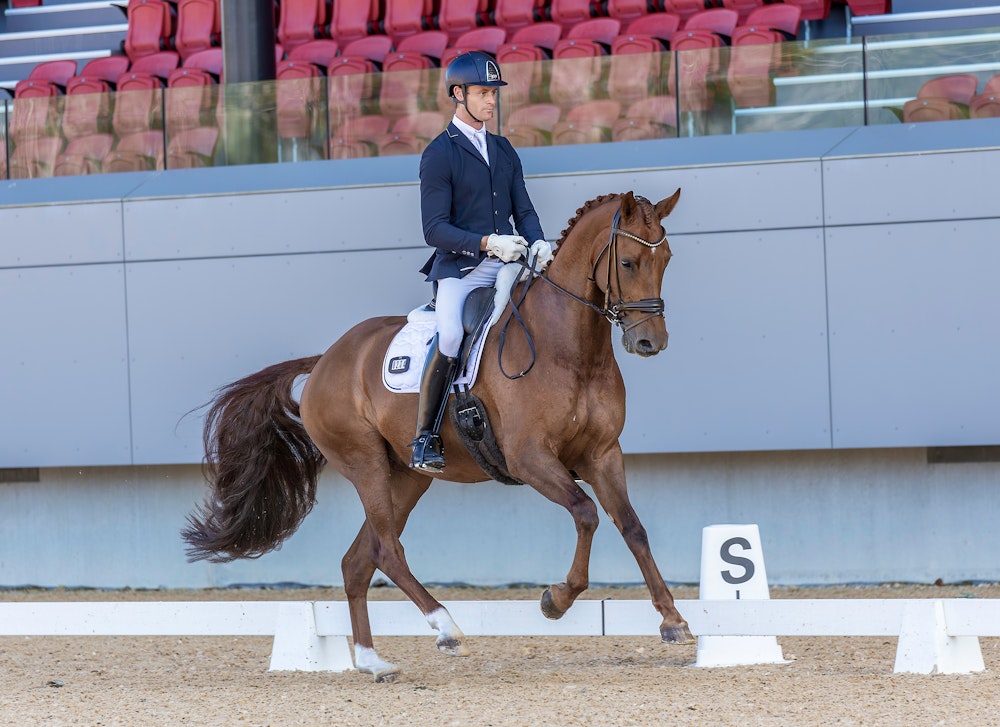 Image for Novice 2.2 | 2nd Place: David Mckinnon & ELLANBRAE TIA VEIDA with a score of  71.172%