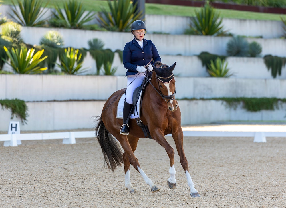 Image for Novice 2.2 | 3rd Place: Claire Wickins & TS SHOWSTOPPER with a score of 70.391%