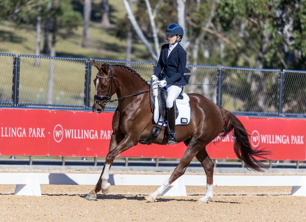 Image for Preliminary 1.2  | 1st Place: Jessica Kirkwood & FLOWERVALE FUERST DAILY - 72.411%