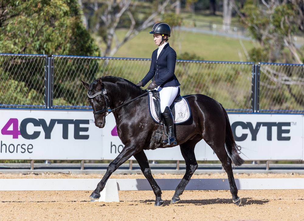 Image for Preliminary 1.2 | 3rd Place: Marla McGill & GENTRY PARK MOUNTAINEER - 69.821%