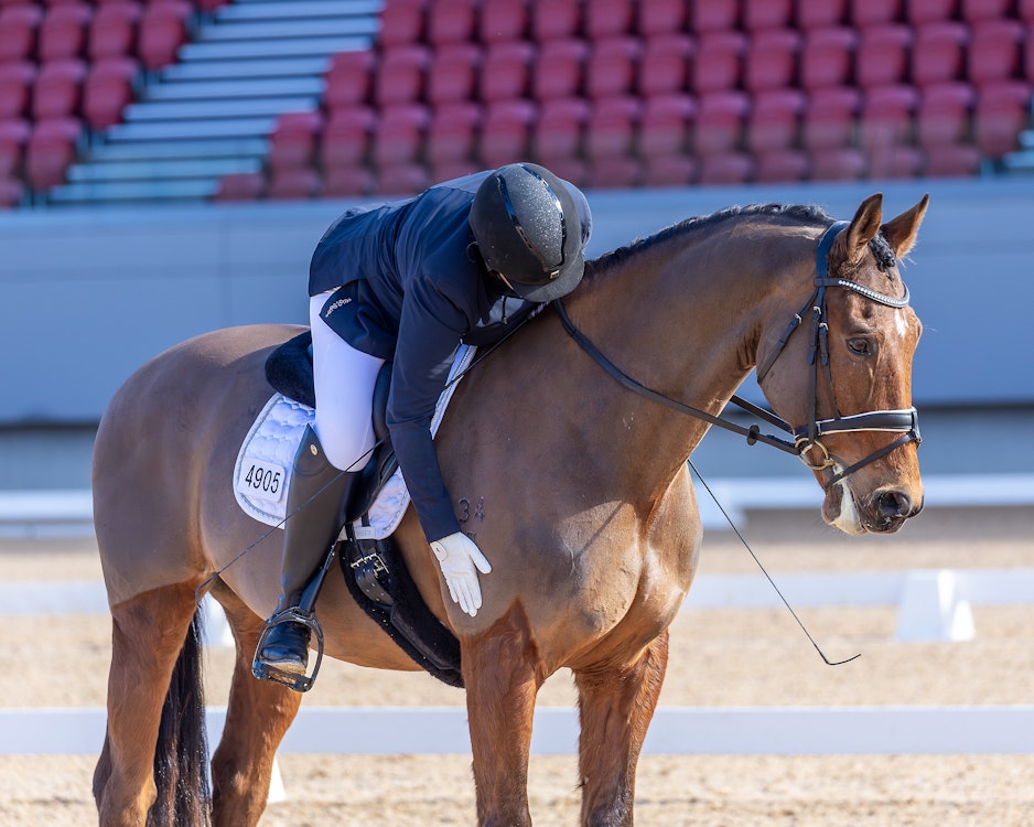 Image for Dressage@Willinga | Photo Credit: Amy-Sue Alson Photography