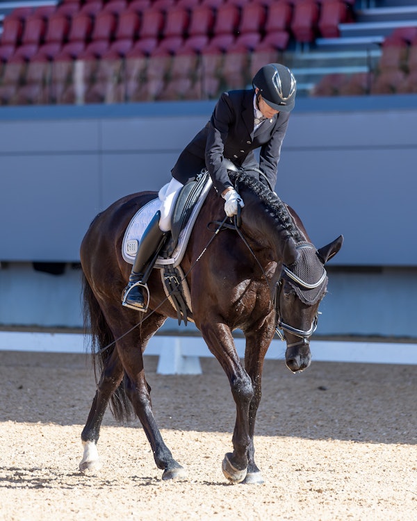 Image for Dressage@Willinga | Photo Credit: Amy-Sue Alson Photography