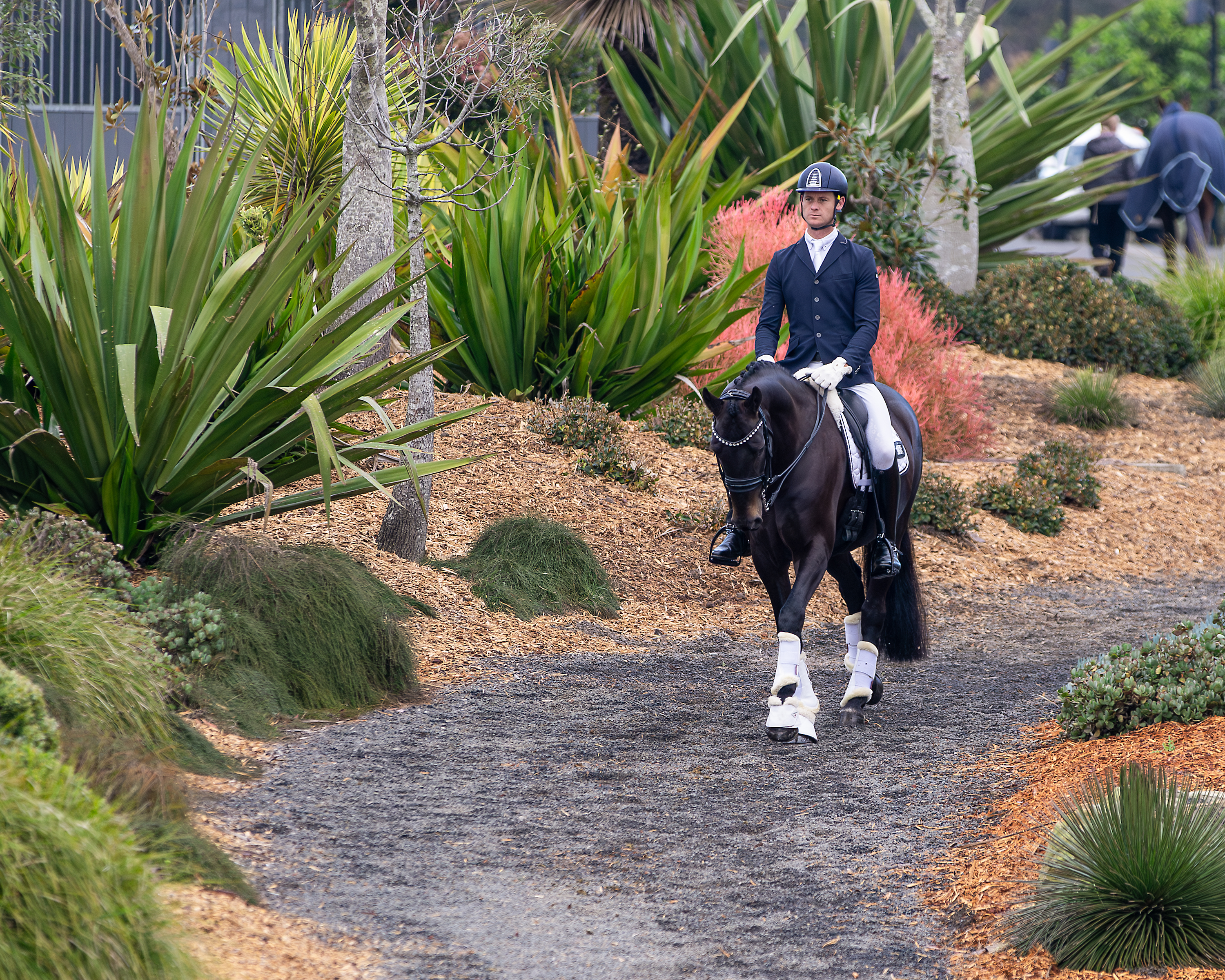 Dressage@Willinga | Photo Credit: Amy-Sue Alson Photography