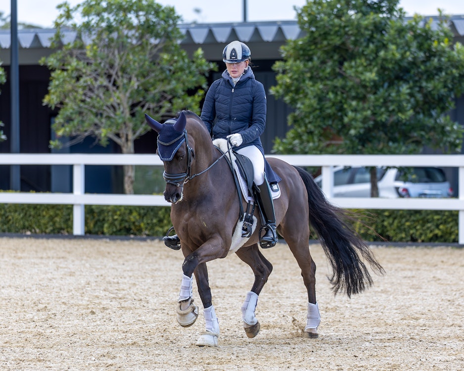 Image for Dressage@Willinga | Photo Credit: Amy-Sue Alson Photography