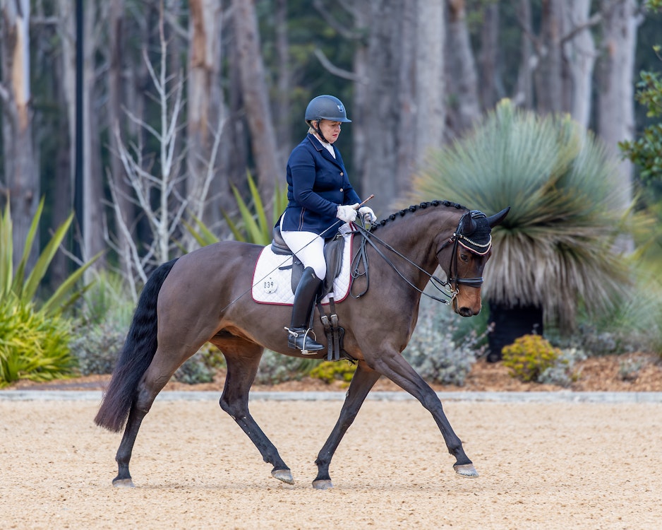Image for Dressage@Willinga | Photo Credit: Amy-Sue Alson Photography