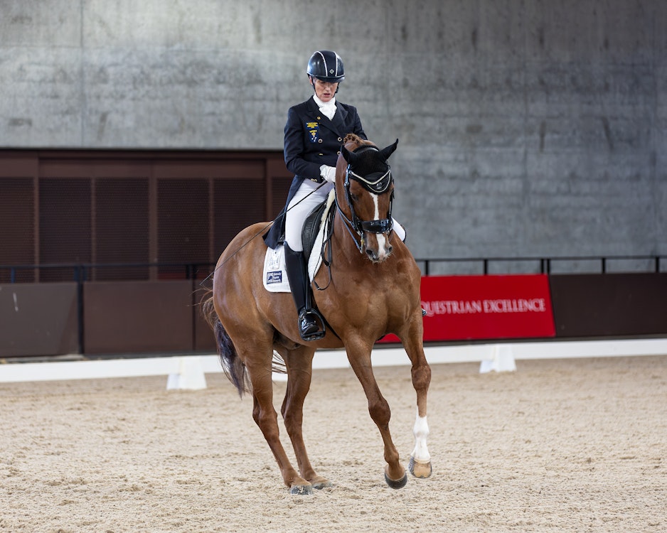 Image for Official Grand Prix | 1st Place: Caroline Wagner & IBICUS - 66.522%