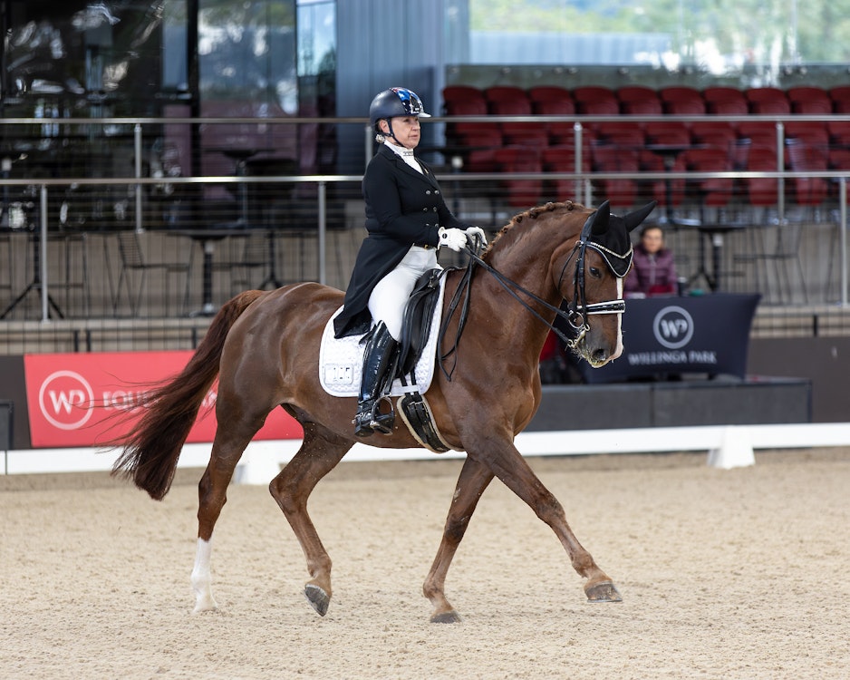 Image for Official Grand Prix | 2nd Place: Suzanne Hearn & EMINENT - 66.196%