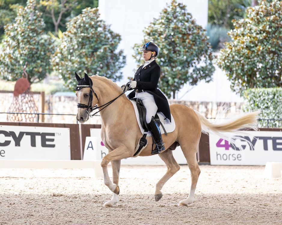 Image for Official Grand Prix | 3rd Place: Suzanne Hearn & GALAXY - 65.543%