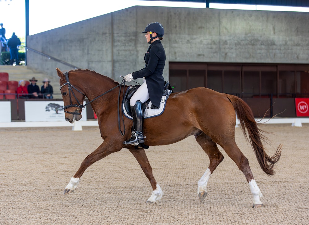 Image for Official Intermediate I  3rd Place: Linda Krogh & FAME with 65.098%