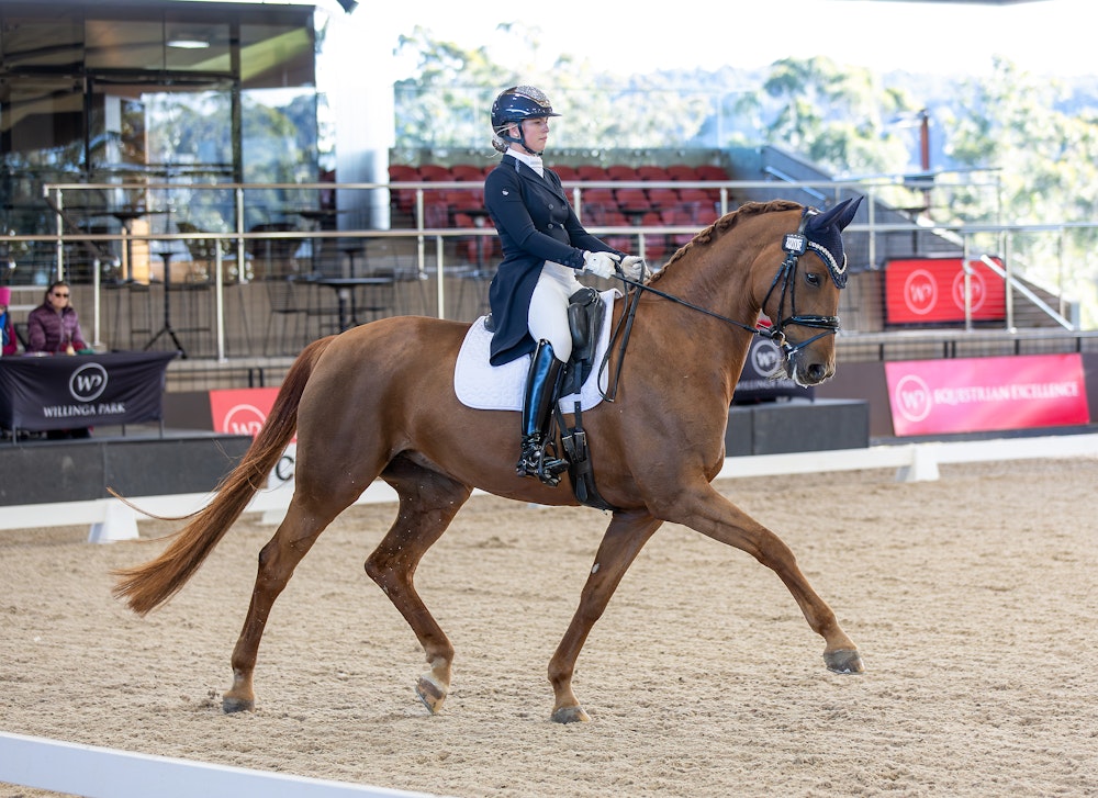 Image for Official Intermediate I   1st Place: Maddison Vallender & RUBINELL with 68.039%