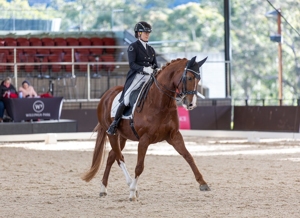 Image for Official Intermediate I   2nd Place: Susan Elekessy & CALLUM PARK DAMASCUS with 67.157%