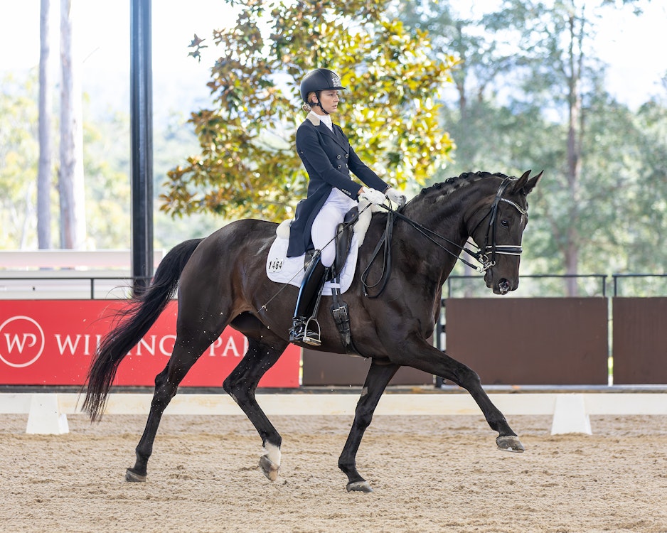 Image for Official Intermediate B | 2nd Place: Lucinda Nutting & DEMERARA - 65.405%