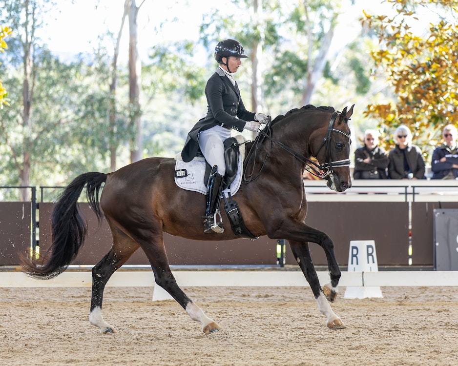 Image for Official Intermediate B | 1st Place: Victoria Luxford & REVELWOOD ANIMATION - 65.743%