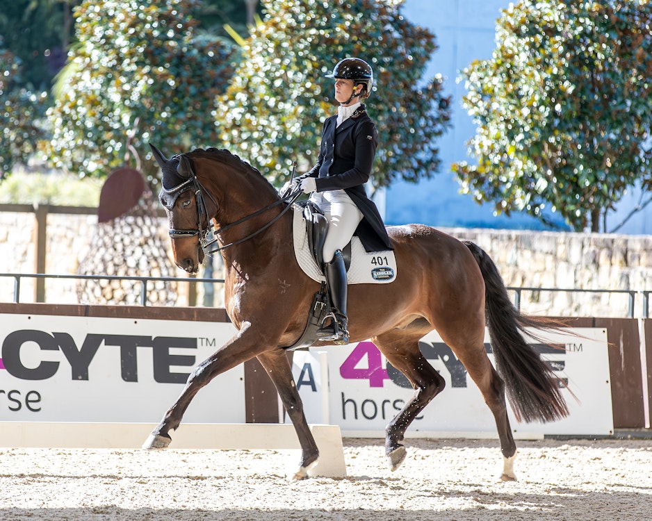 Image for Official Intermediate B | 3rd Place: Alycia Targa & CP CHARMORE - 64.932%