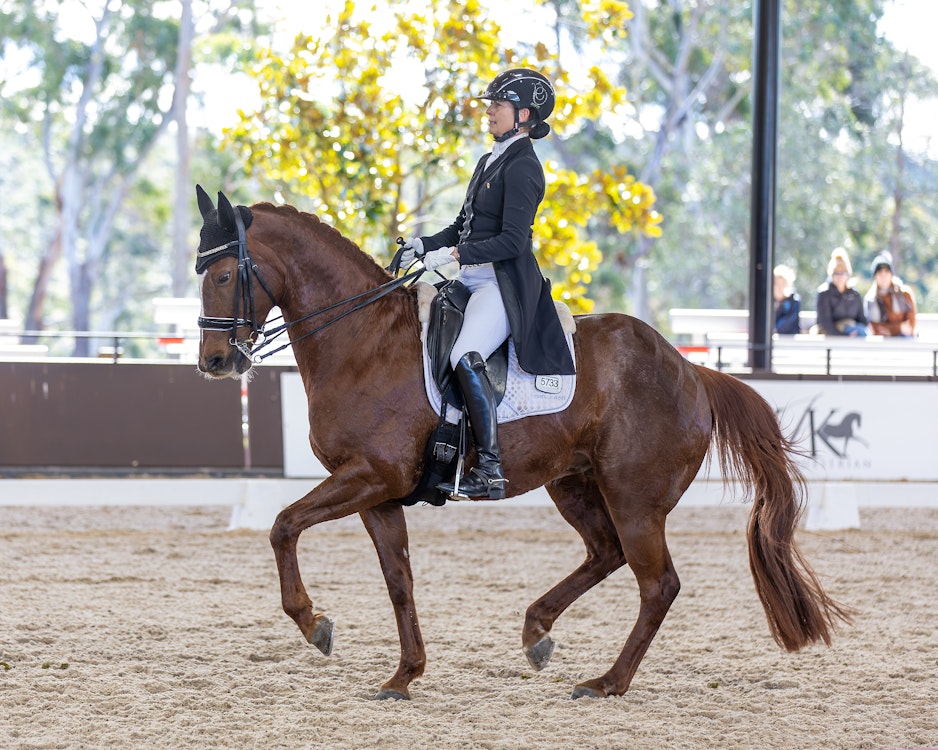 Image for 4CYTE Dressage@Willinga: Grand Prix Special  | 1st Place Susan Elekessy & CALLUM PARK GENEVA - 65.851%