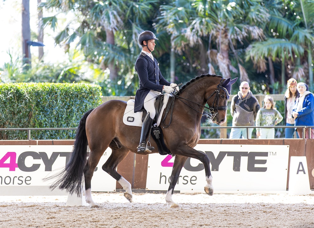 Image for 4CYTE Dressage@Willinga: Grand Prix Special  | 2nd Place  David Mckinnon & ESTUPENDO - 65.837%