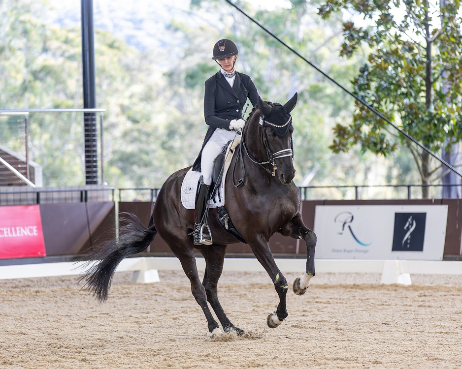Image for 4CYTE Dressage@Willinga: Grand Prix Special  | 3rd Place  Alinta Veenvliet & DESPERANZA - 64.383%