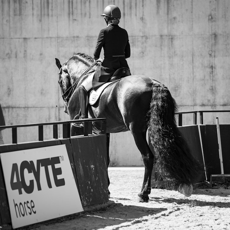 Image for Dressage@Willinga  | 26 & 27 July 2025