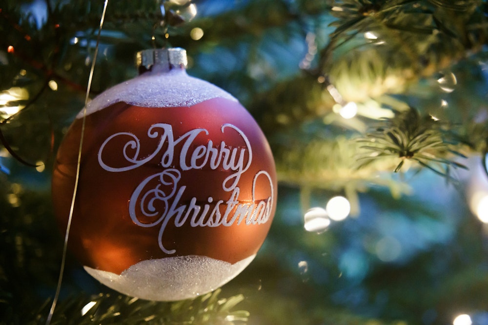 Image for Christmas in July at Willinga Park