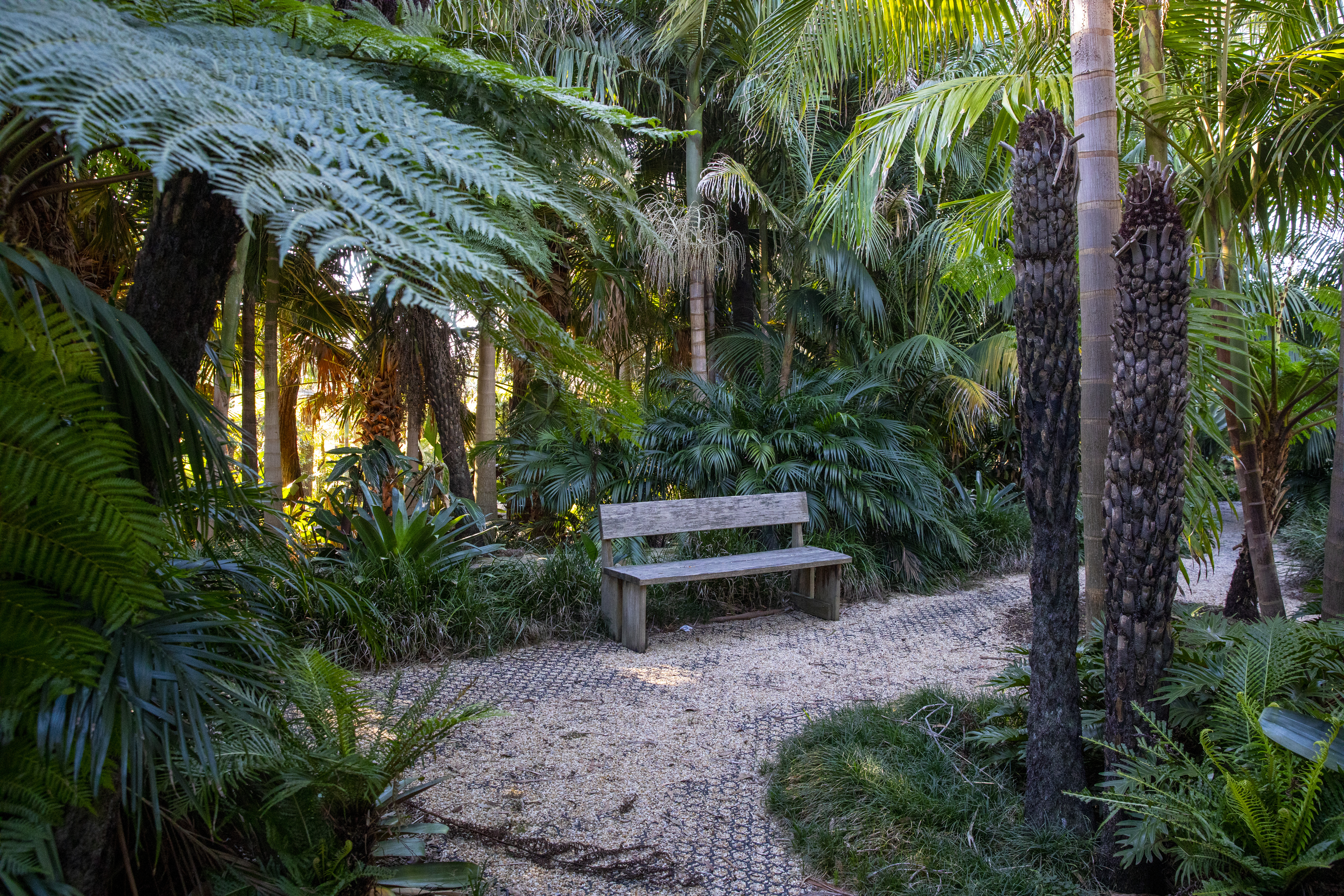 Gardens and grounds at Willinga Park