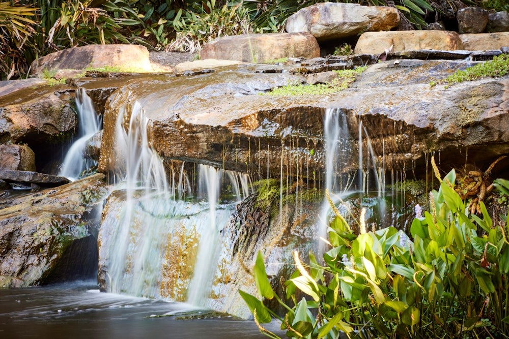 Image for Willinga Park Botanic Gardens