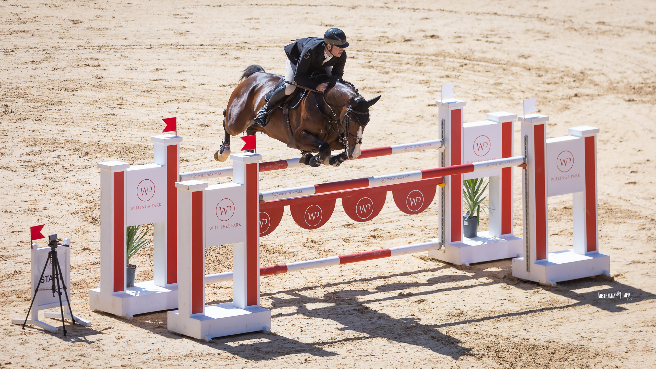 Show jumping competition at Willinga Park