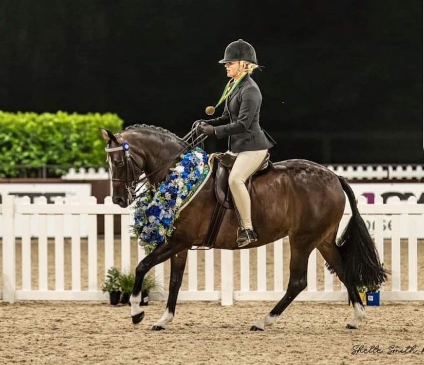 Image for Ponies by the Sea Championship 2025