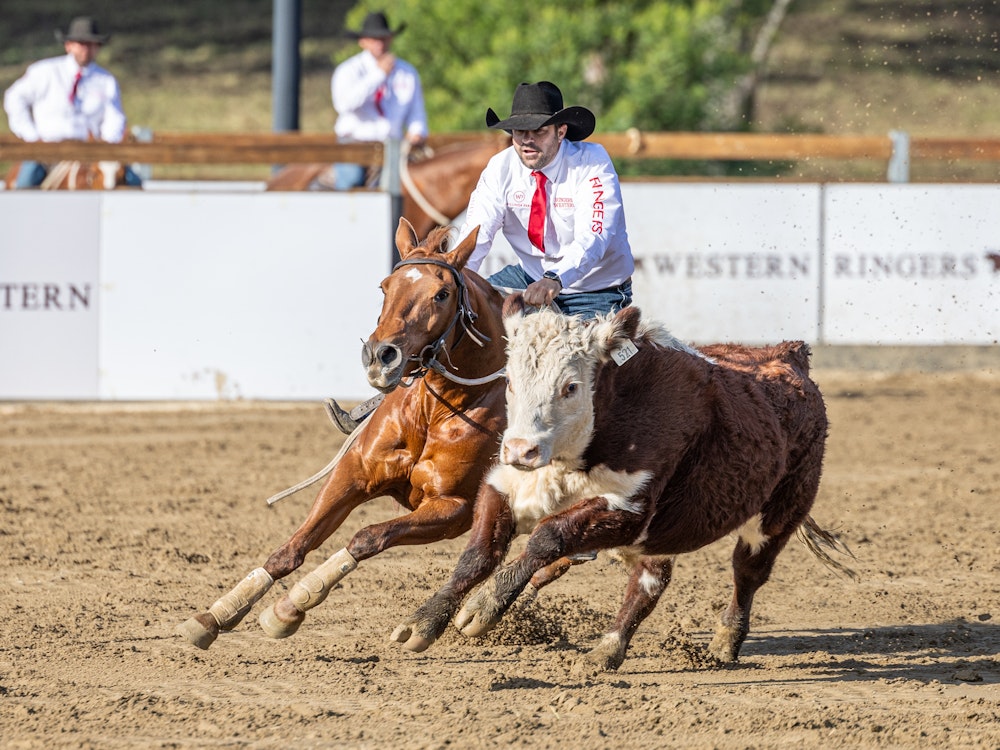 Campdraft Wild Rider Willinga Park | Competitor Information | Gold Buckle Campdraft ...