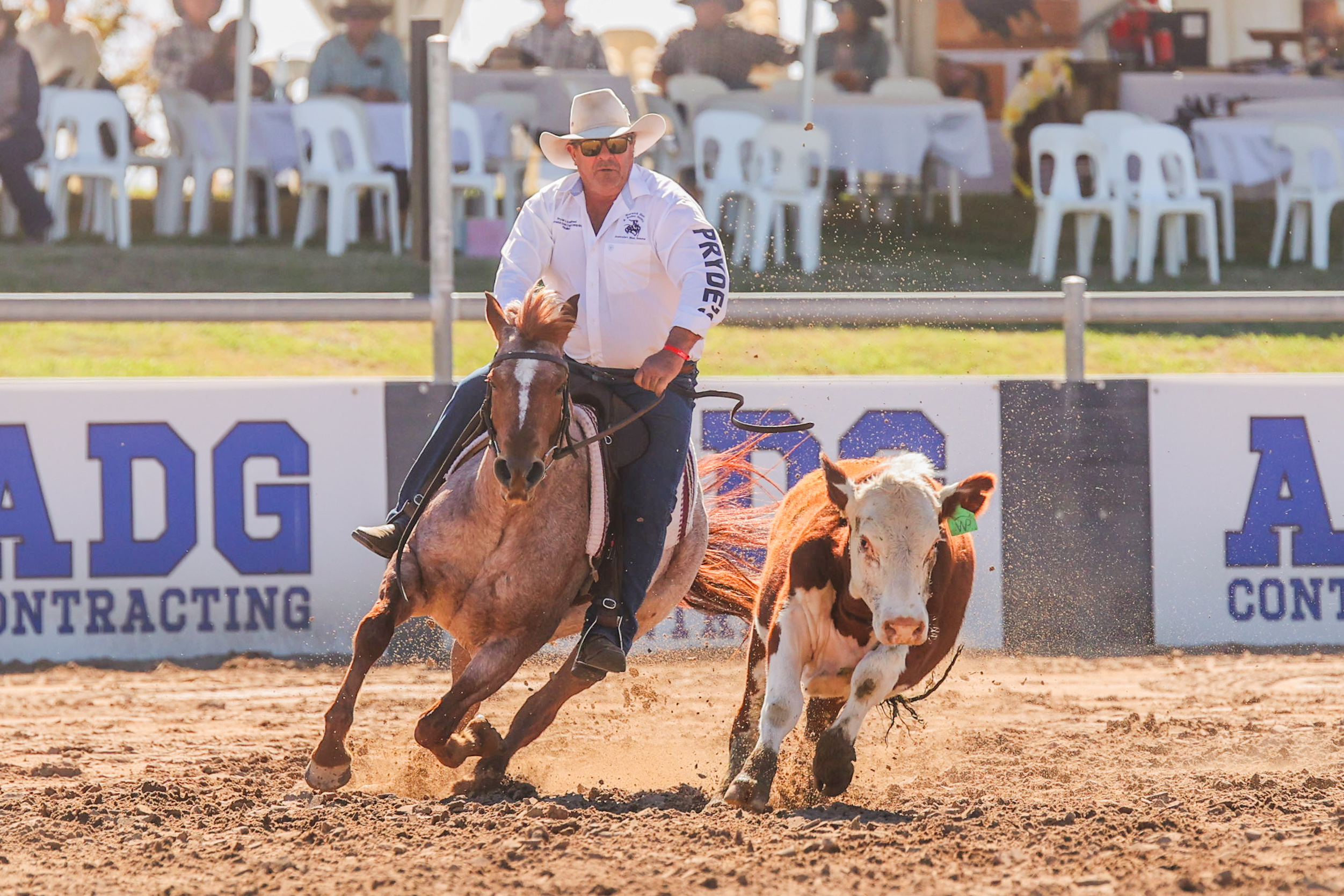 Campdraft competitor in front of ADG Contracting signage