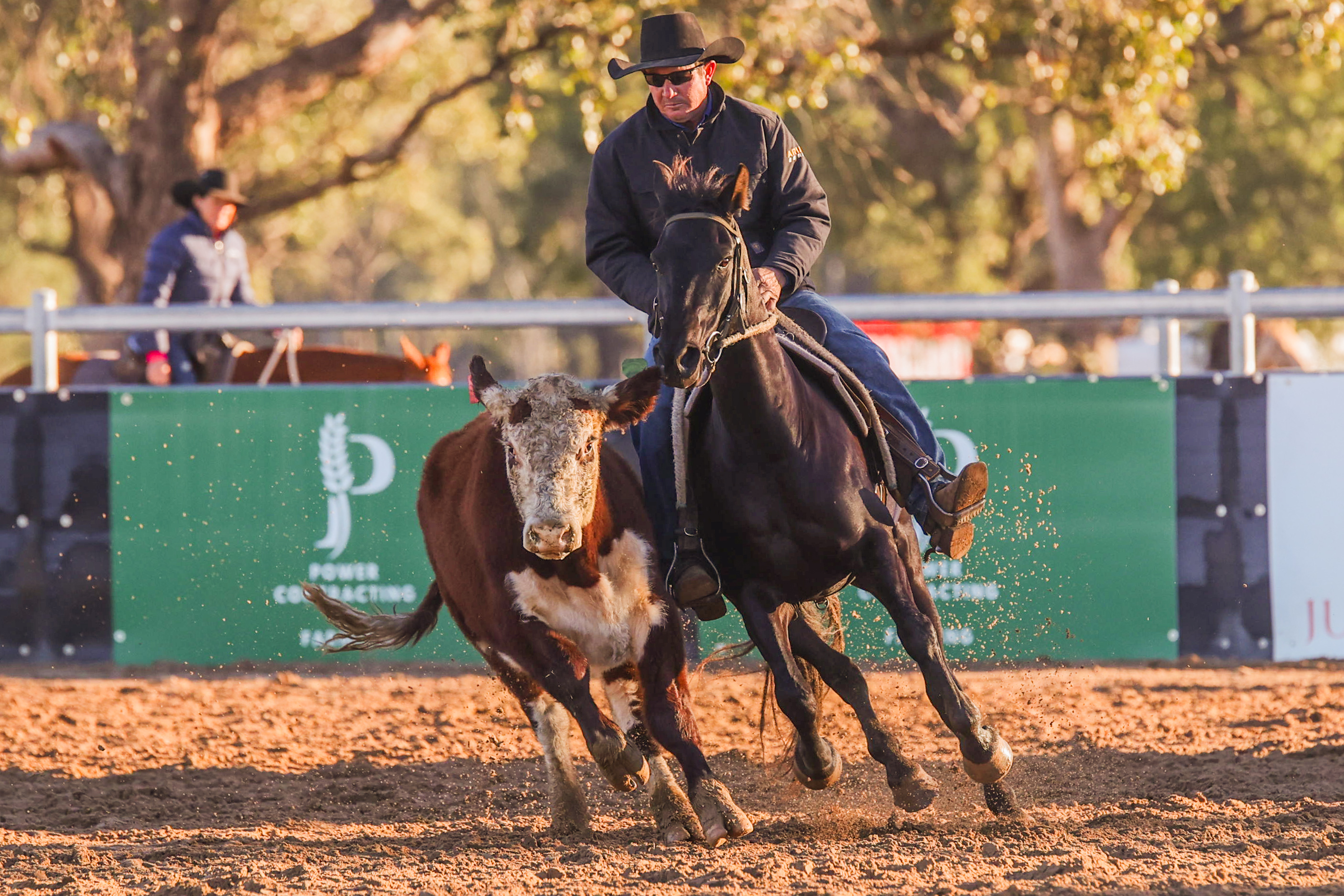 Campdraft competitor with sponsor signage visible